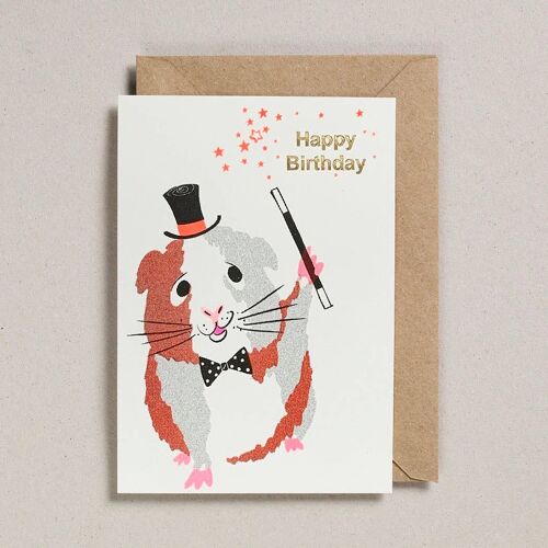 Confetti Pets Cards - Pack of 6 - Happy Birthday Guinea Pig