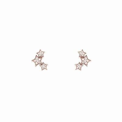 Family earrings in 925 sterling silver with 18K rose gold bath and brilliant zirconia.