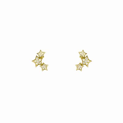 Family Earrings in 925 sterling silver with 18K yellow gold bath and brilliant zirconia.