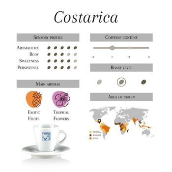 Café Costa Rica 100% Arabica 1 kg 4