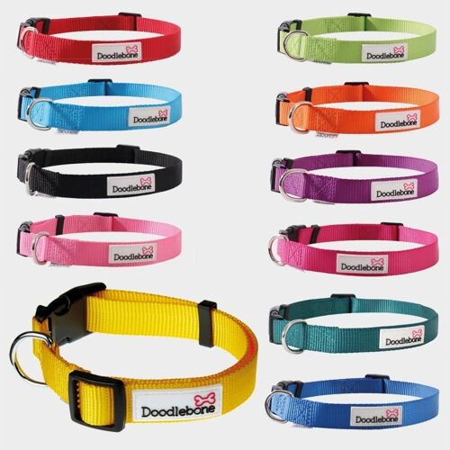 Doodlebone® Bold Dog Collar - various colours and sizes