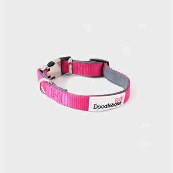 Collier rembourré Doodlebone® Bold - 4 couleurs, 5 tailles 4