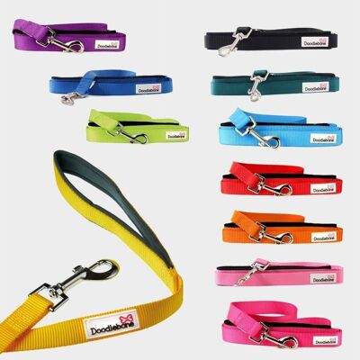 Doodlebone® Bold padded Leash - 3 sizes, various colours
