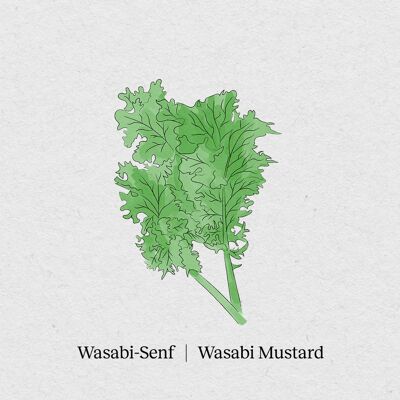Senape Wasabi - Pacchetto di semi 4 pezzi