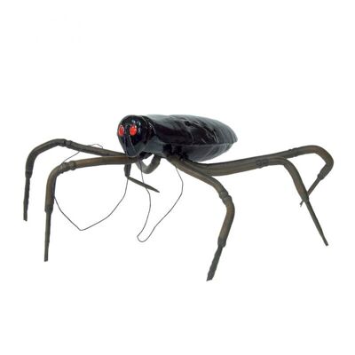 35 cm cockroach - Single T.