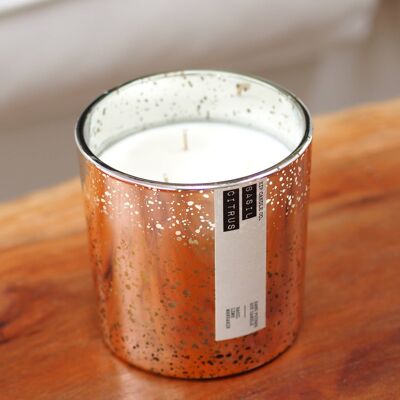 Basil Citrus Coffee Table Candle