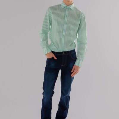 Long Sleeve Slim Fit Stripe Shirt in Green & White Colour-