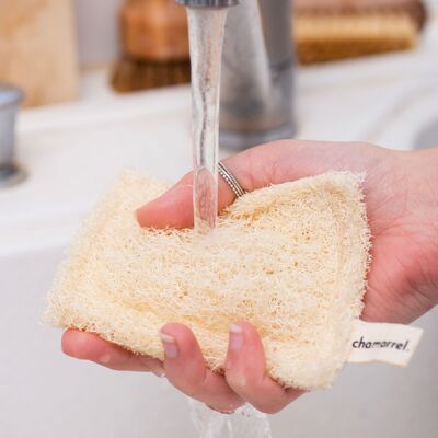 Loofah dishwashing sponge | Loofah