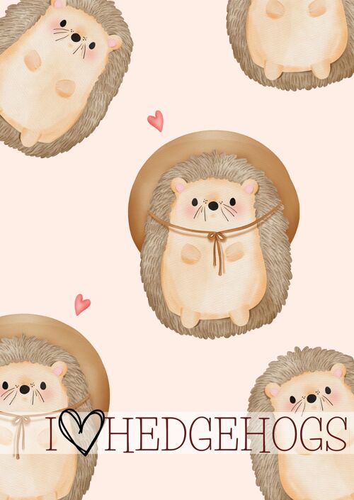 I 'heart' Hedgehogs