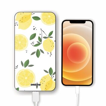 Batterie verre trempé 8000mAh Citrons 2