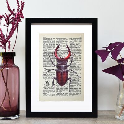Page de livre Vintage Stag Beetle A4 Art Print