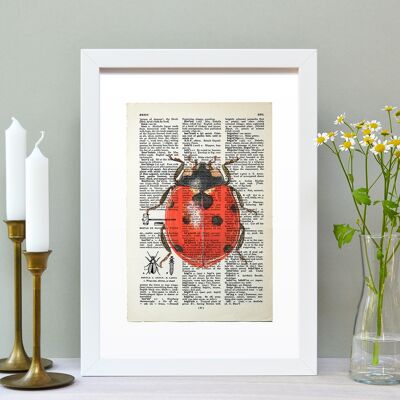 Coccinella Vintage libro pagina A4 Art Print