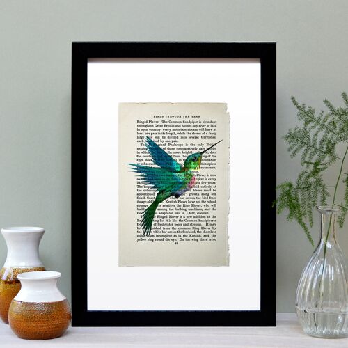 Hummingbird Vintage Book Page A4 Art Print