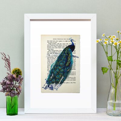 Pavone Vintage libro pagina A4 Art Print