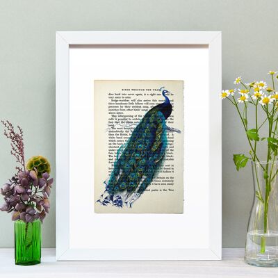 Peacock Vintage Book Page A4 Art Print