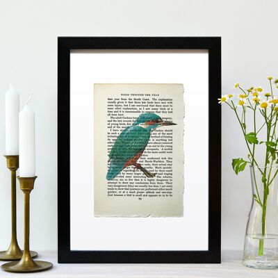 Kingfisher Vintage Book Page A4 Art Print