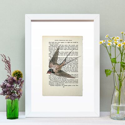 Rondine Vintage libro pagina A4 Art Print