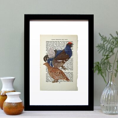 Grouse Vintage Book Page A4 Art Print