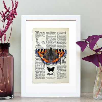 Lámina artística Tortoiseshell Butterfly Vintage Book Página A4