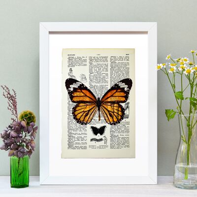 Lámina artística Página de libro vintage de mariposa monarca A4