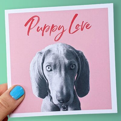 Puppy Love Card