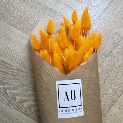 Mazzo di Lagurus essiccato - Arancio