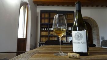 TORRE DEL PARCO, Vin Blanc Sec, Verdicchio di Matelica DOC - 2021 10