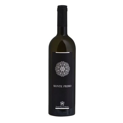 MONTE PRIMO, dry red wine, for appassimento, IGT Marche Rosso 2020