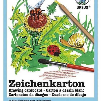 Zeichenkarton (250 g/m²), DIN A4, 25 Blatt