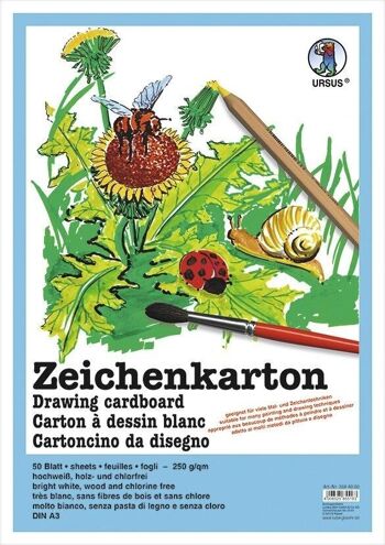 Carton à dessin (250 g/m²), DIN A3, 10 feuilles 4