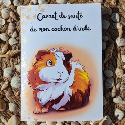 Guinea pig health book - Chon theme