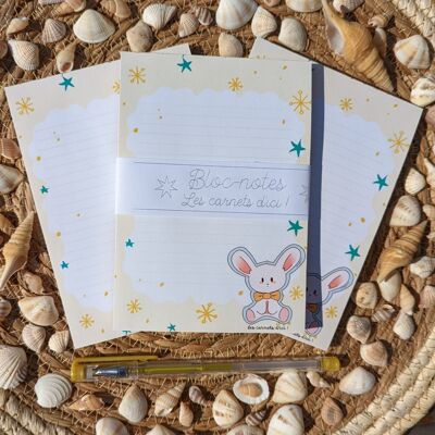 pig bunny notepad