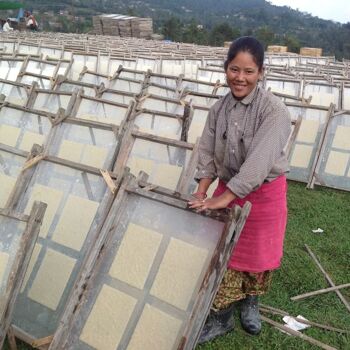 set de cartes de vœux durables + guirlande d'étoiles L 1,15 cm - or - carte de Noël - papier 100% écologique - fait main au Népal - carte de vœux avec galande d'étoiles dorées 8