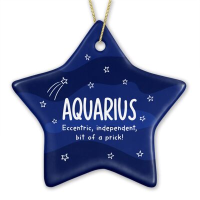 Aquarius Rude Star Sign Zodiac Bauble