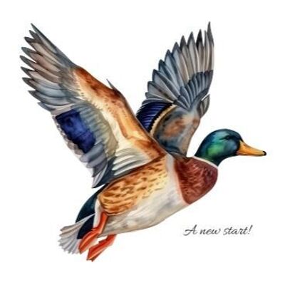 Sustainable card - New Start duck