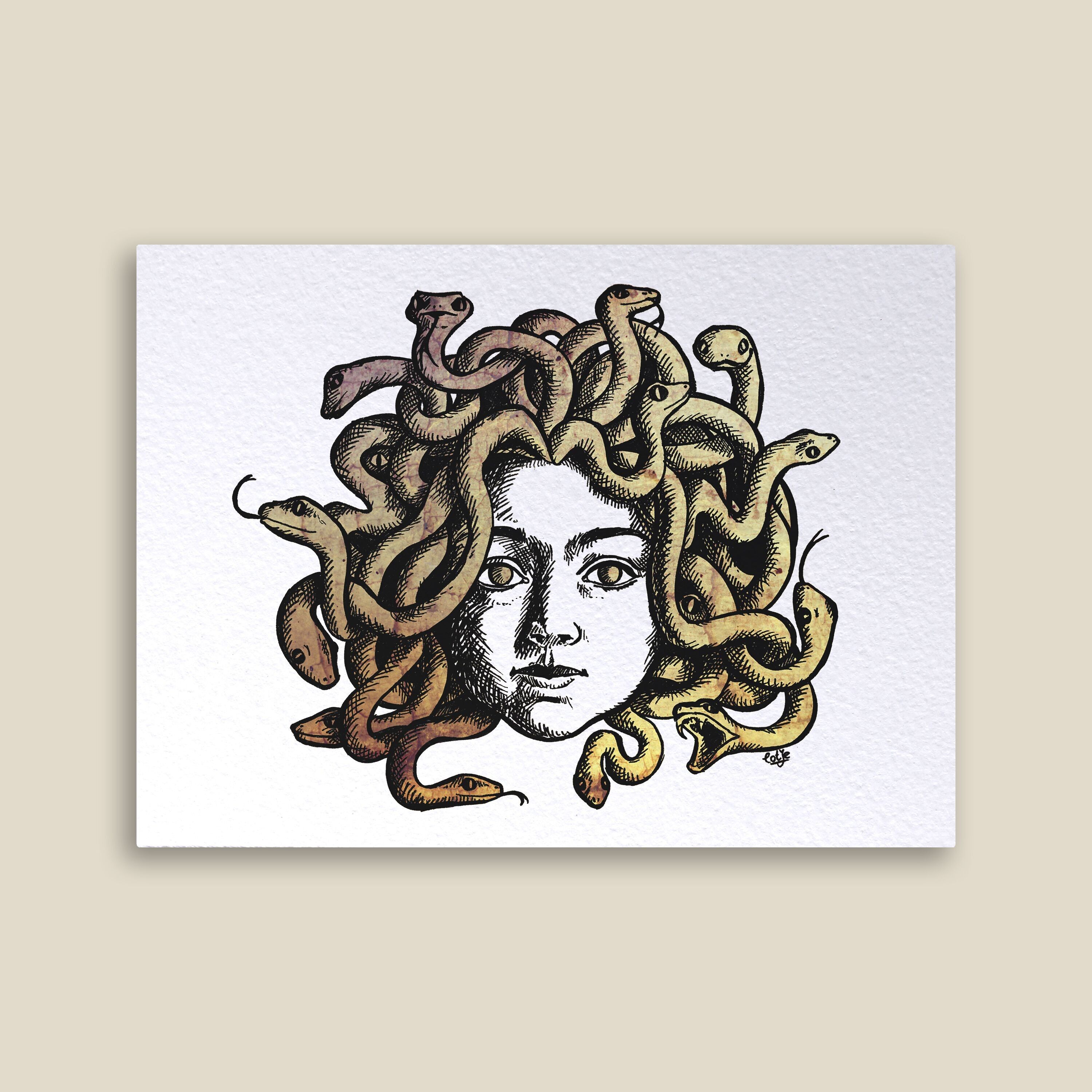 Carta Medusa