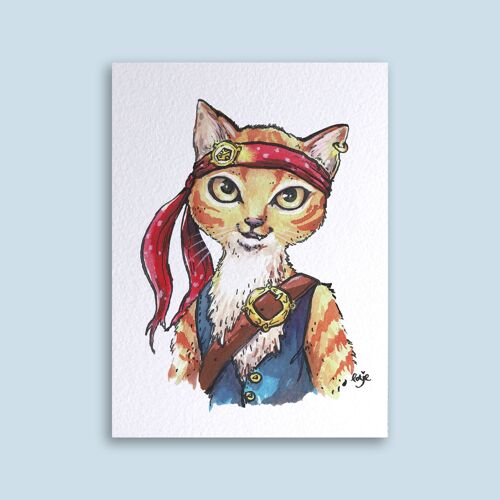 Card Cat Pirate