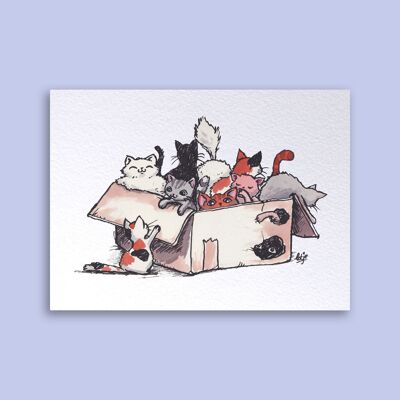 Kartenschachtel mit Katzen