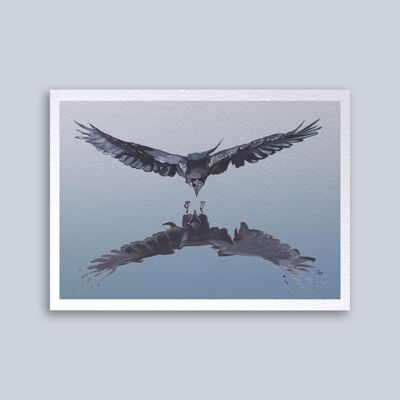 Card Crow Flight