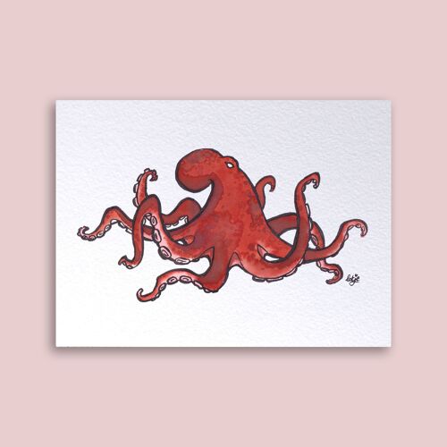 Card Octopus