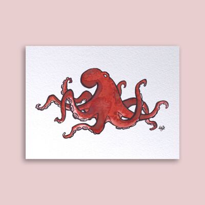 Karte Oktopus