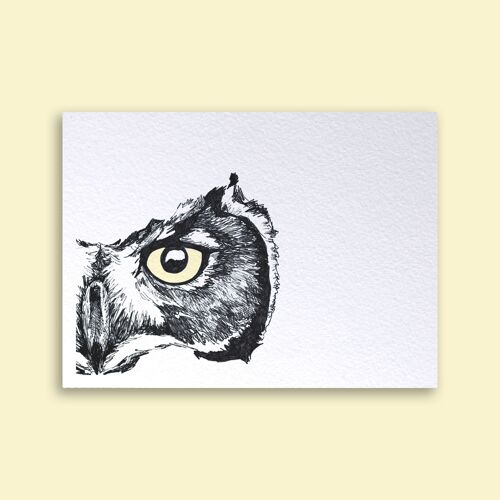 Card Owl Eye