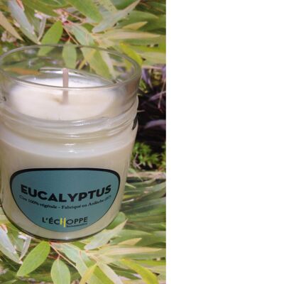 BOUGIE PARFUMEE CIRE 100 % VEGETALE SOJA - 180 G EUCALYPTUS