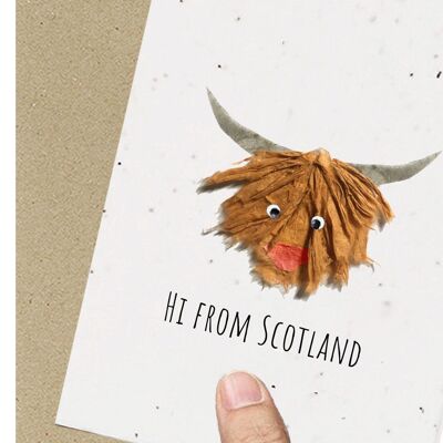 Scotland, Highland Bull Eco-friendly Plantable Seeded