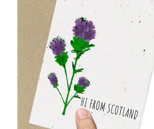 Scotland, Thistle Eco-friendly Plantable Seeded