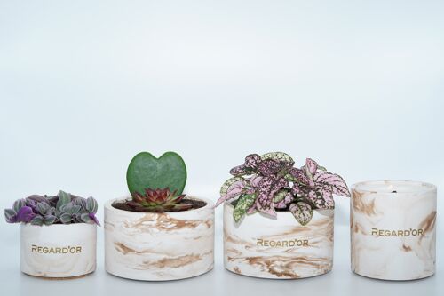 Handmade flower pot - Medium