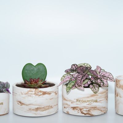 Handmade flower pot - Medium