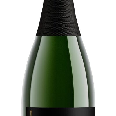 vino frizzante
"Facciamo champagne"