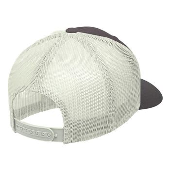 8433856068252 - The Indian Face Trucker Born to Wakeboard Grey Cap pour hommes et femmes 2