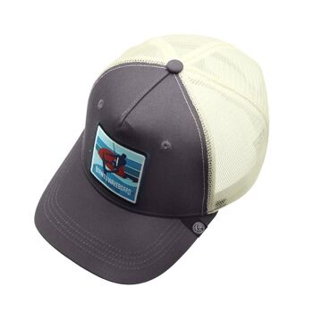 8433856068252 - The Indian Face Trucker Born to Wakeboard Grey Cap pour hommes et femmes 3
